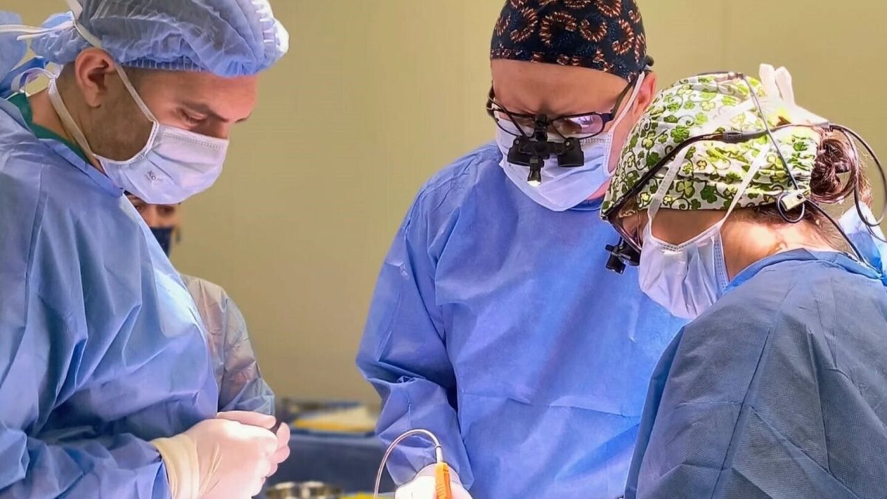 Фото до новини