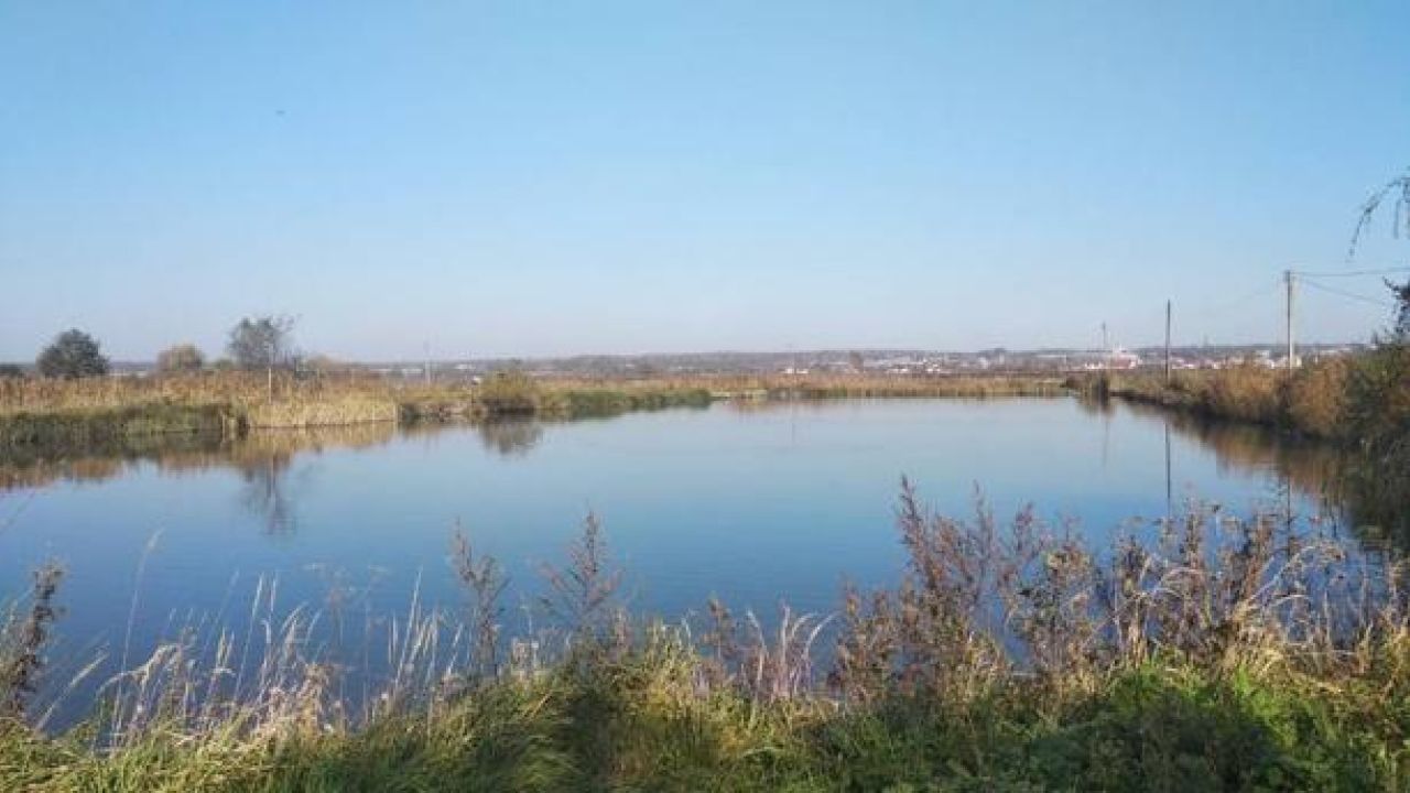 Фото до новини