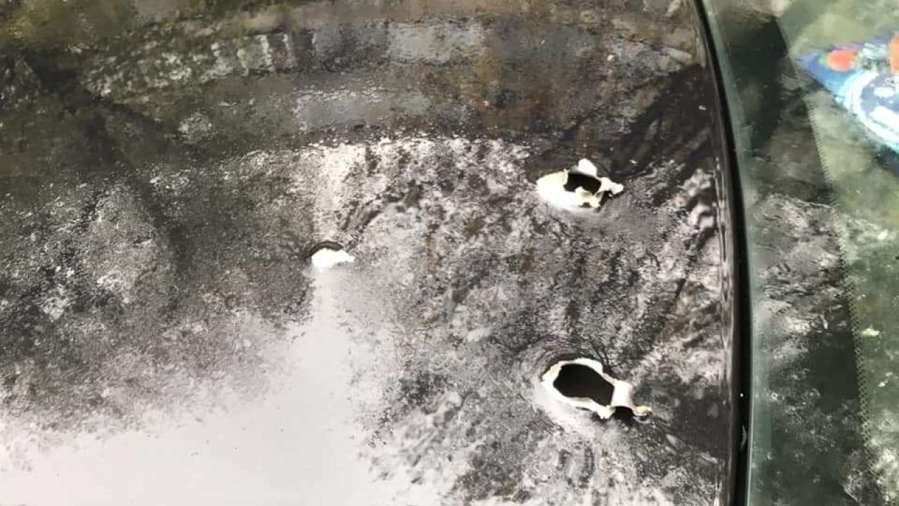 Фото до новини