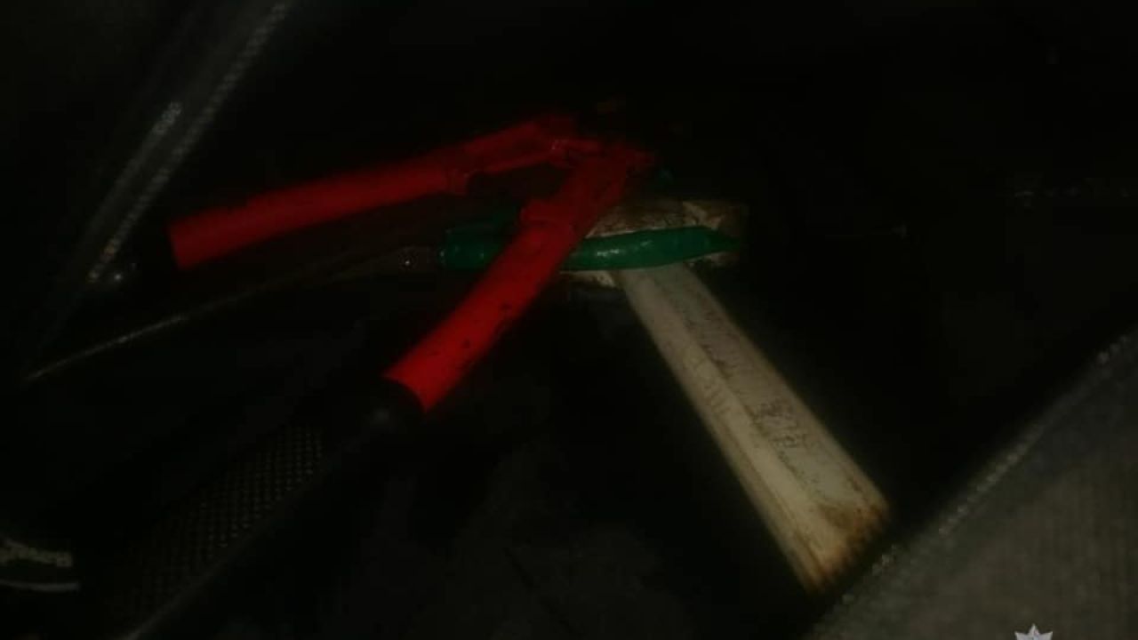 Світлина з парку Івана Павла ІІ у Львові