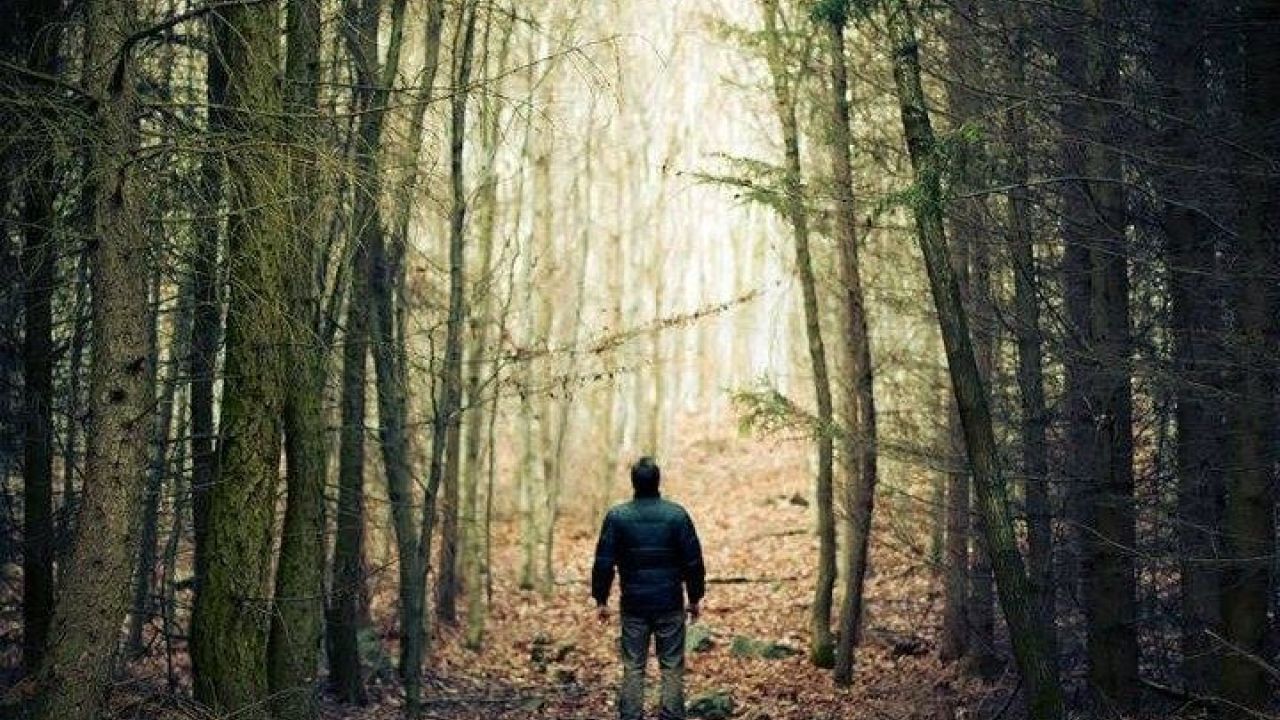 Фото до новини