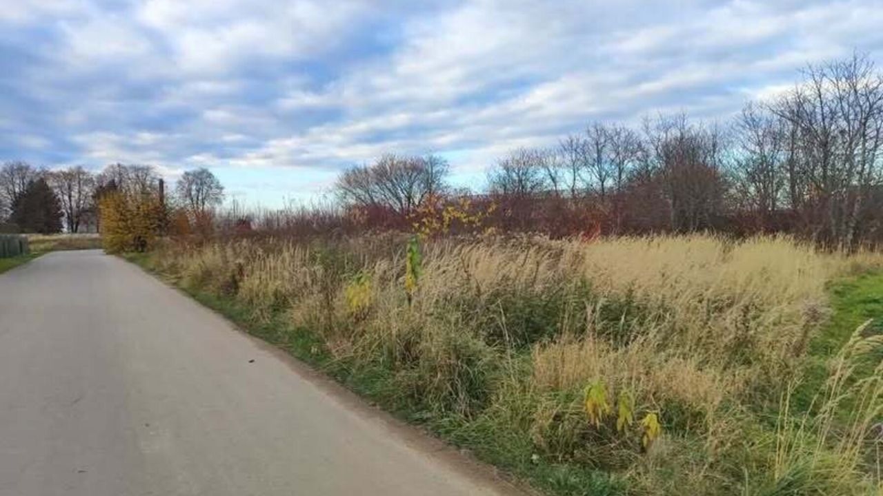 Фото до новини