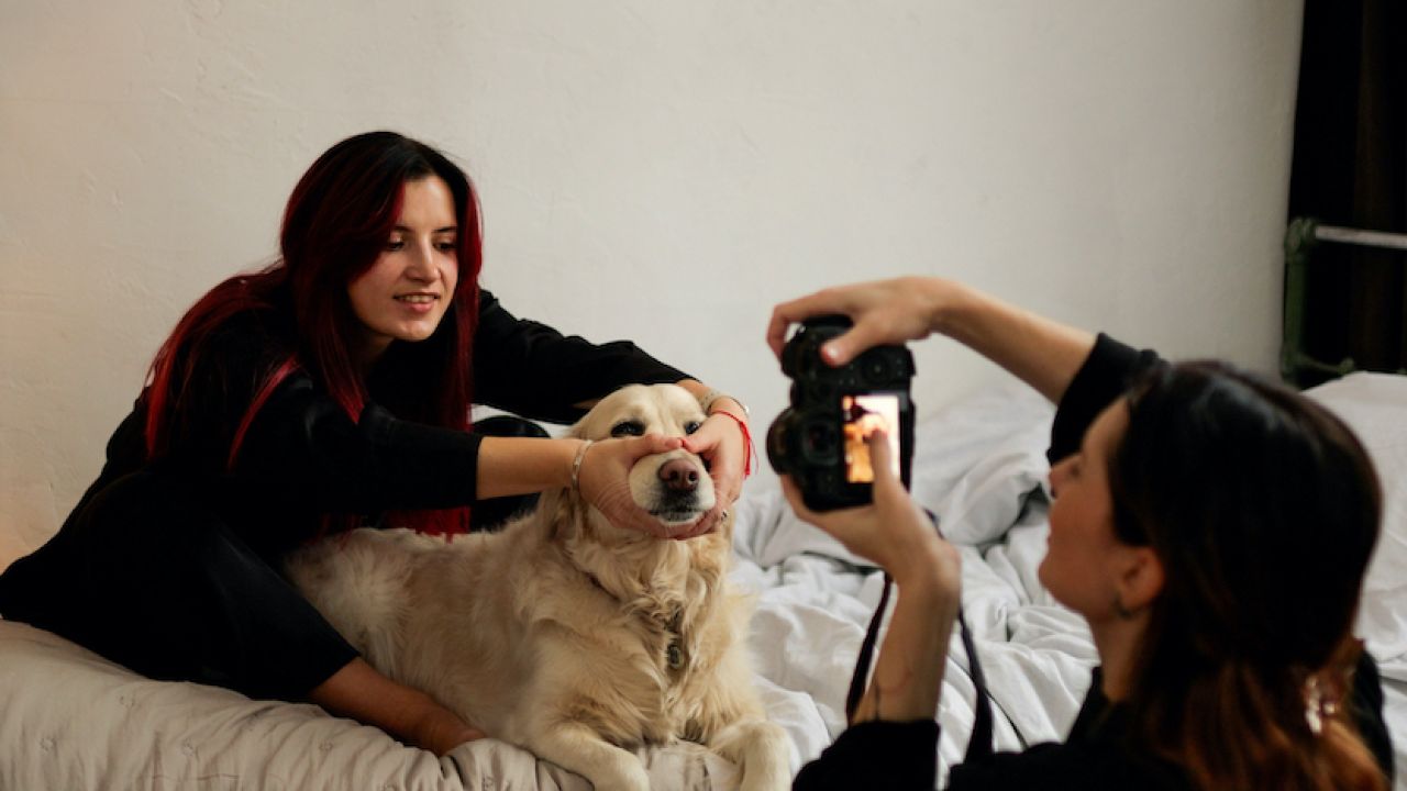 Фото до новини