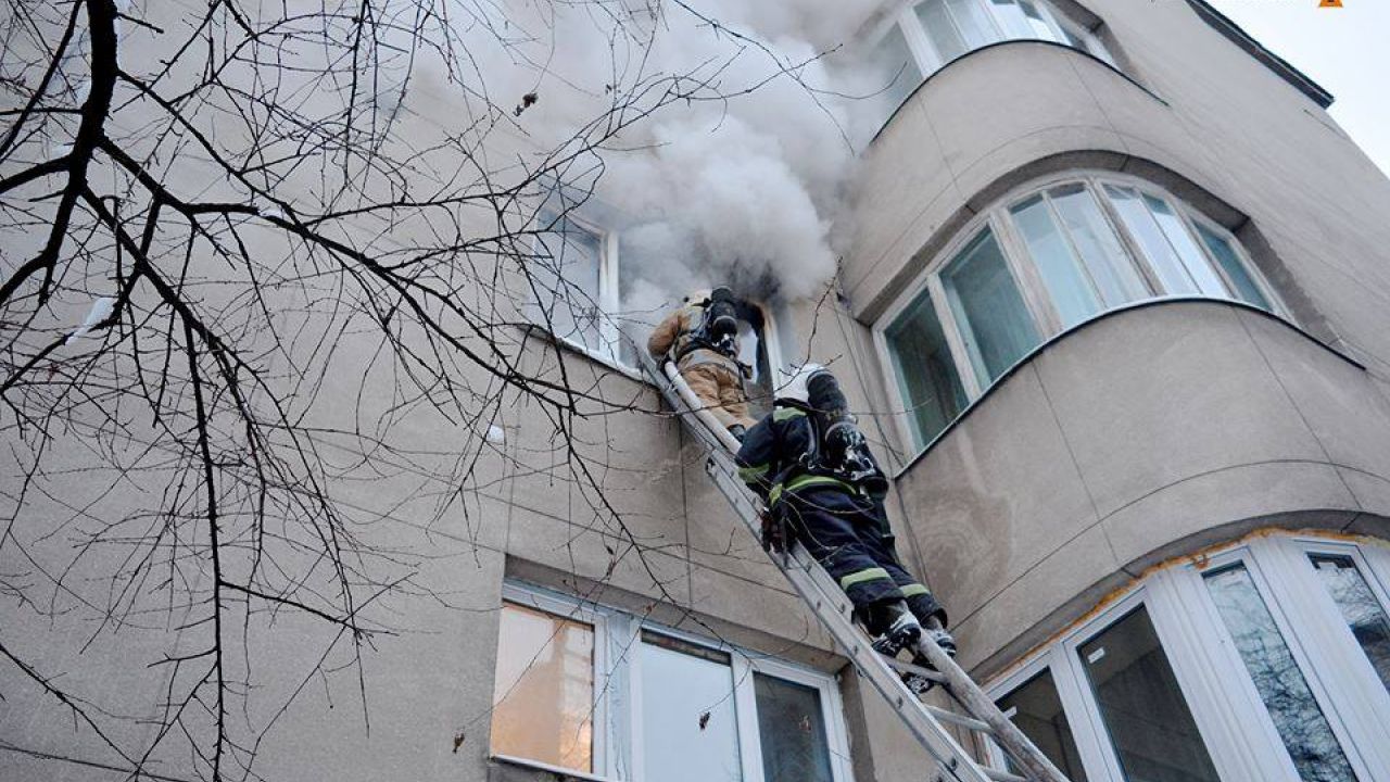 Фото до новини