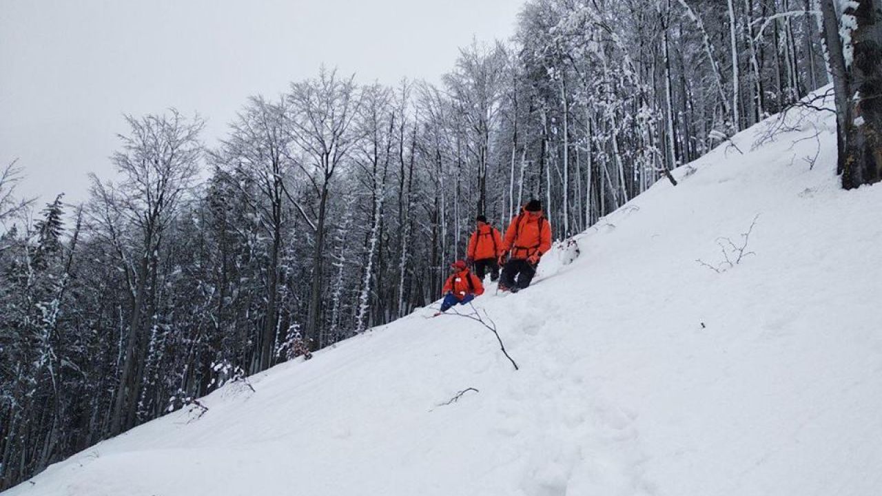 Фото до новини