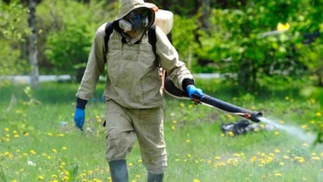 Фото до новини