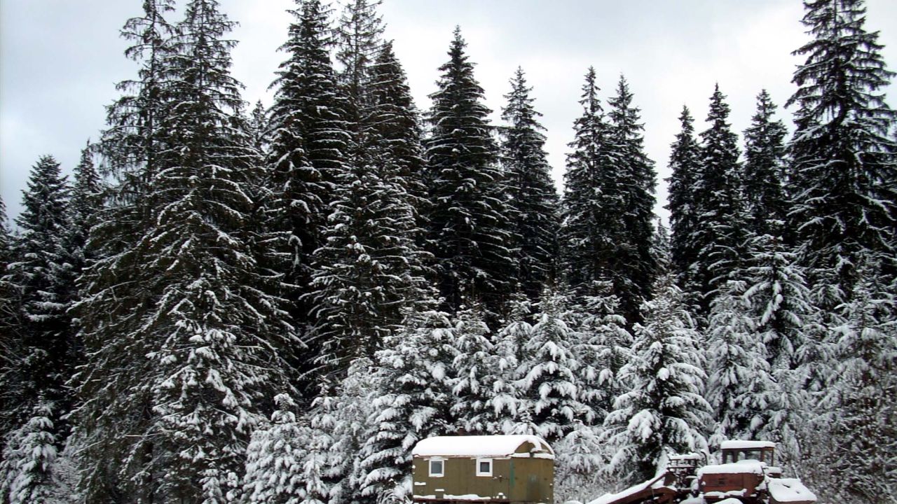 Фото до новини