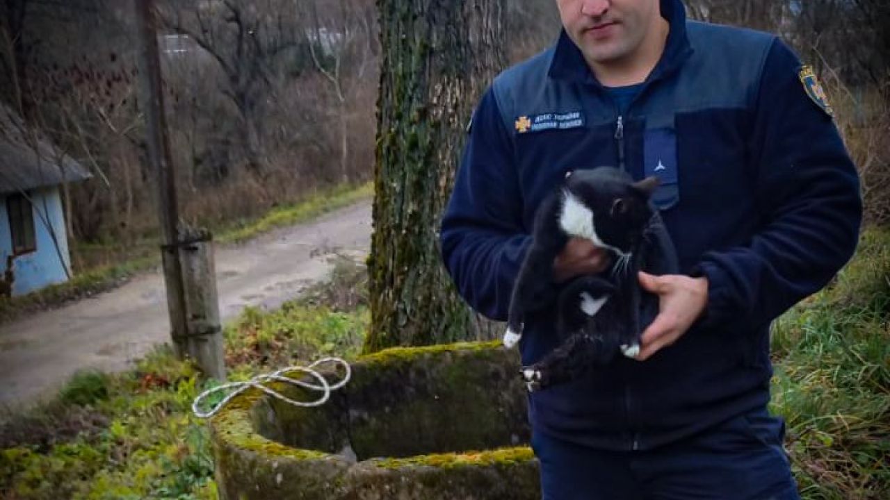 Фото до новини