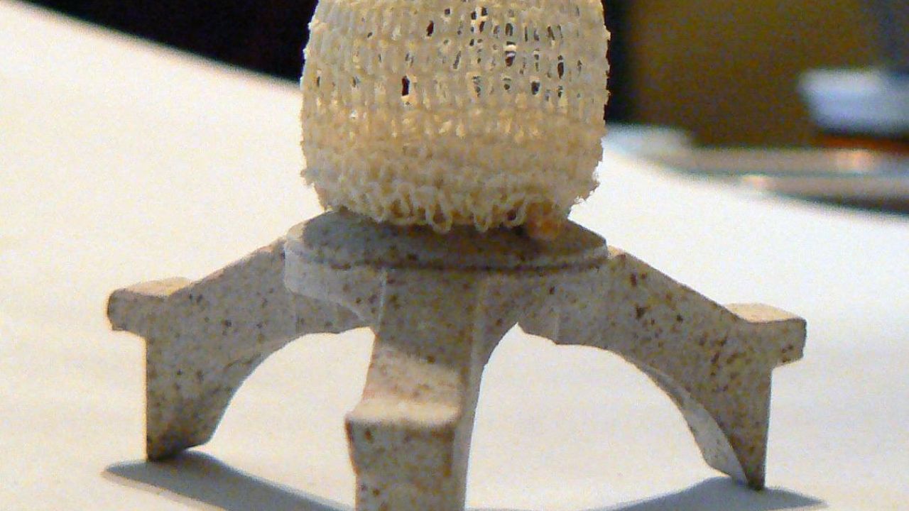 Фото до новини