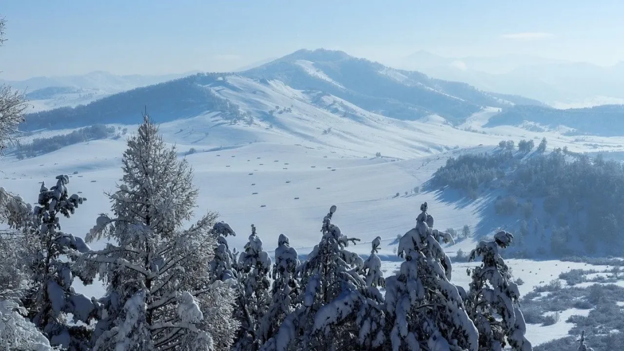 Фото до новини