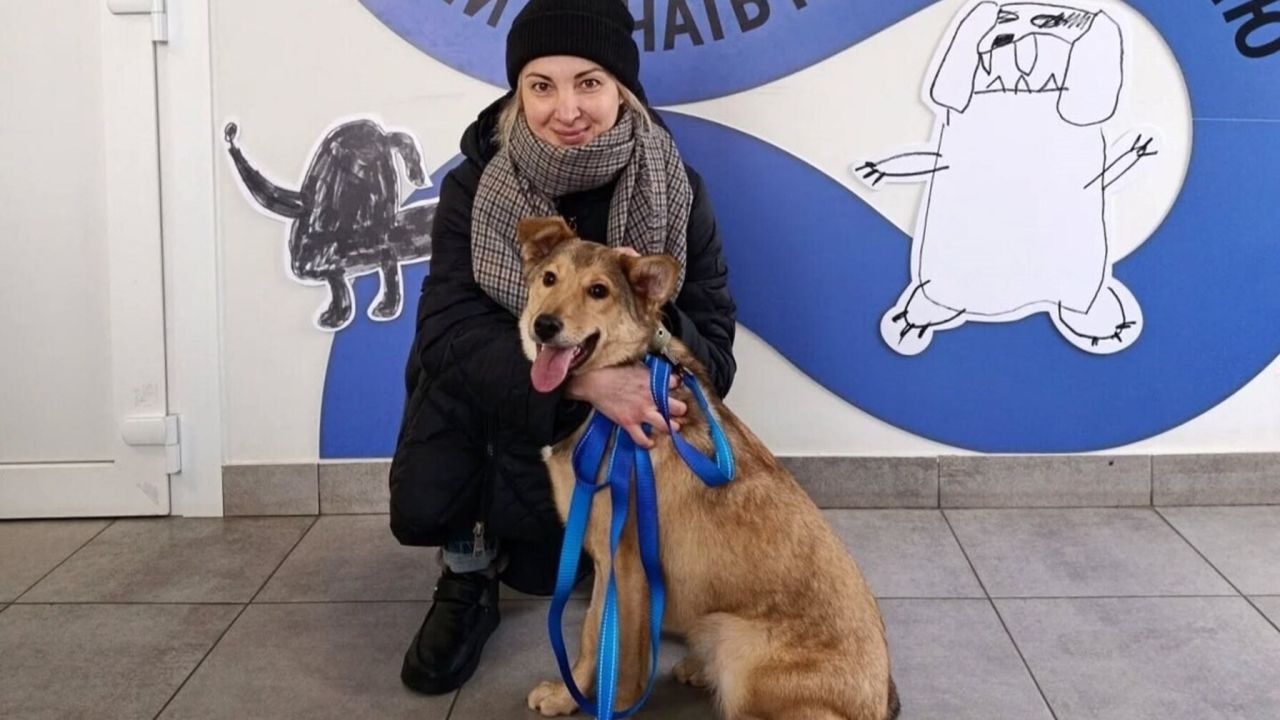 Нова господарка з рудим собакою в центрі адопції ЛКП «Лев»