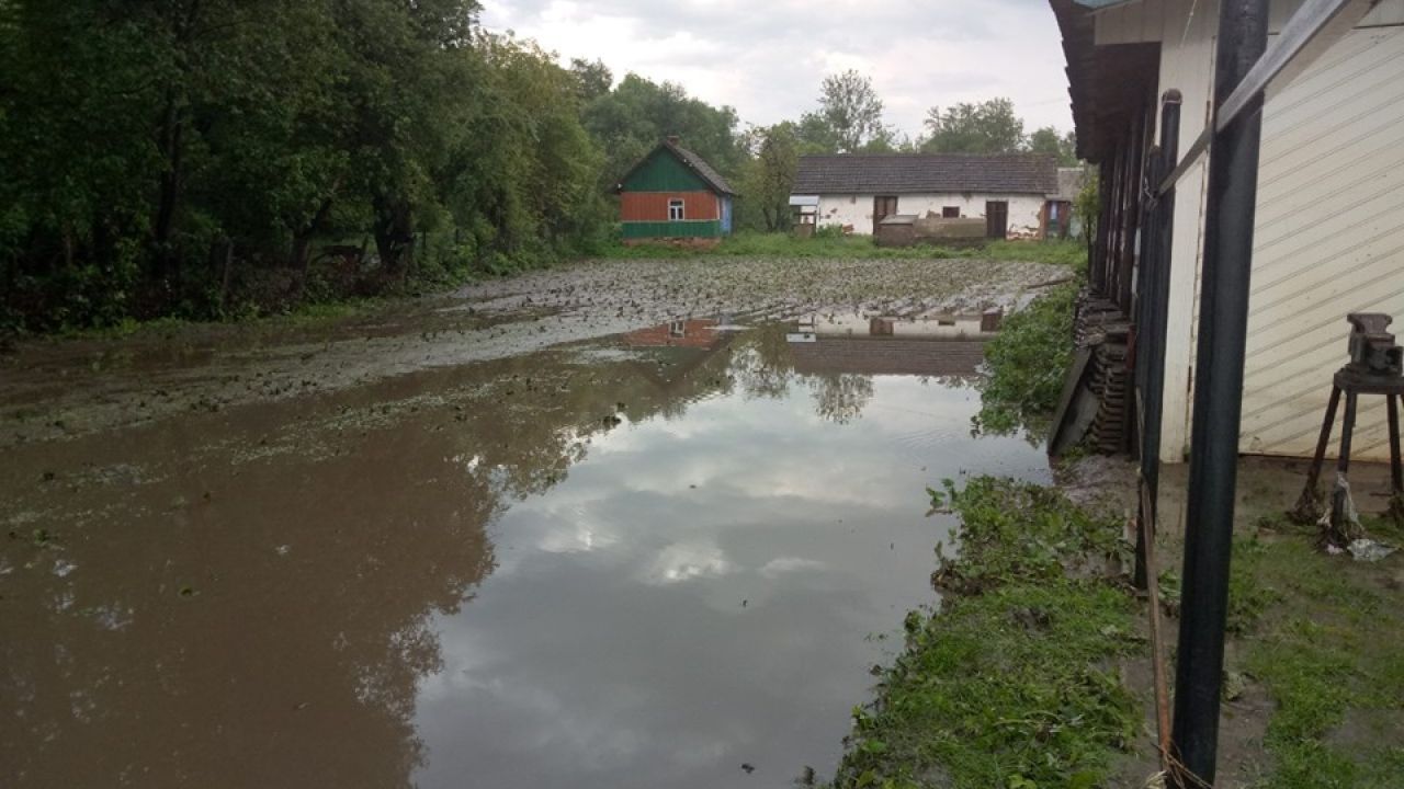 Фото до новини