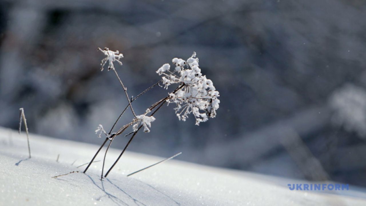Фото до новини