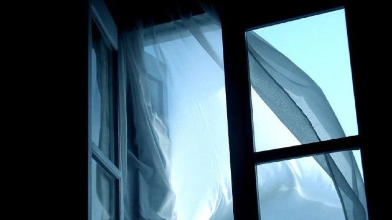 Фото до новини