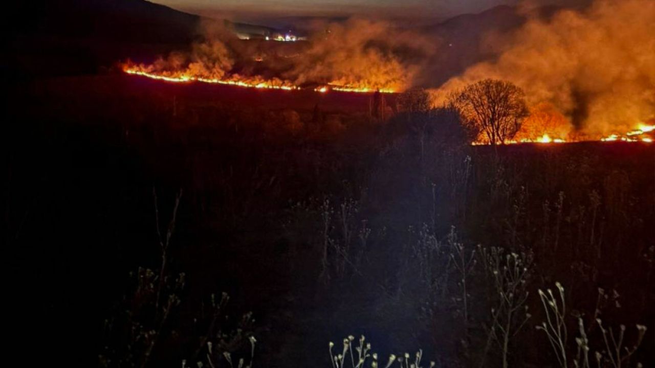 Фото до новини