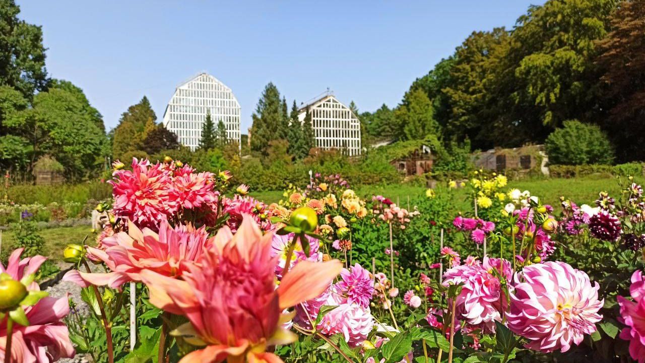 Фото до новини