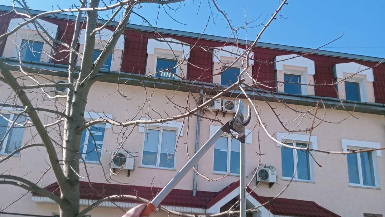 Фото до новини