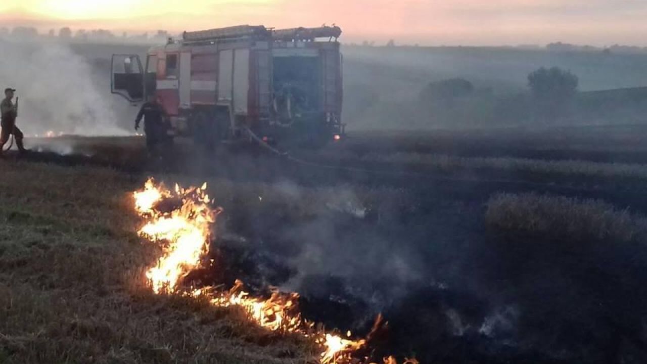 Фото до новини