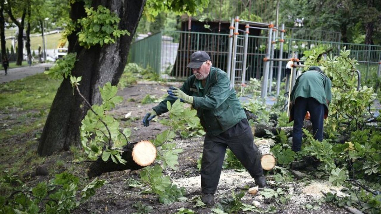 Фото до новини