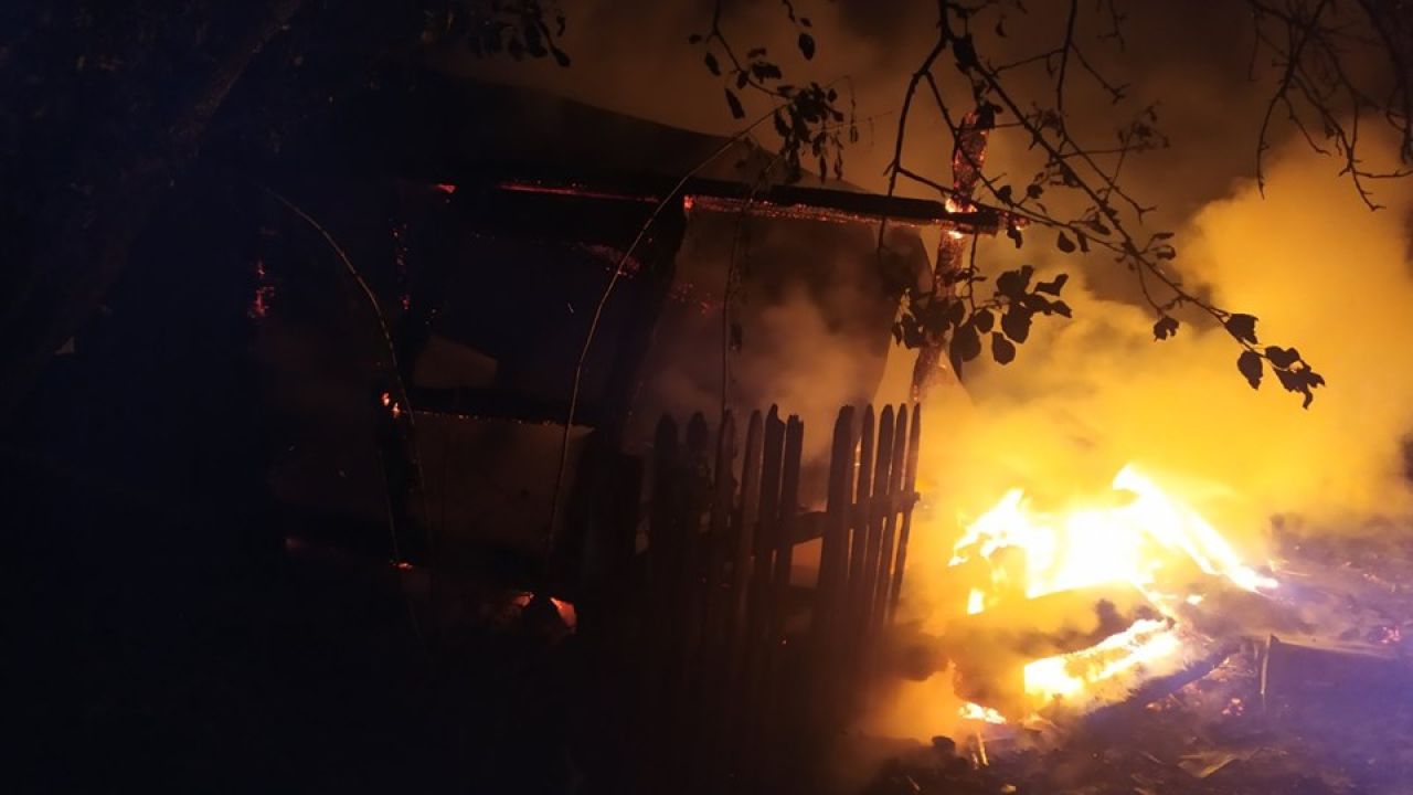 Фото до новини