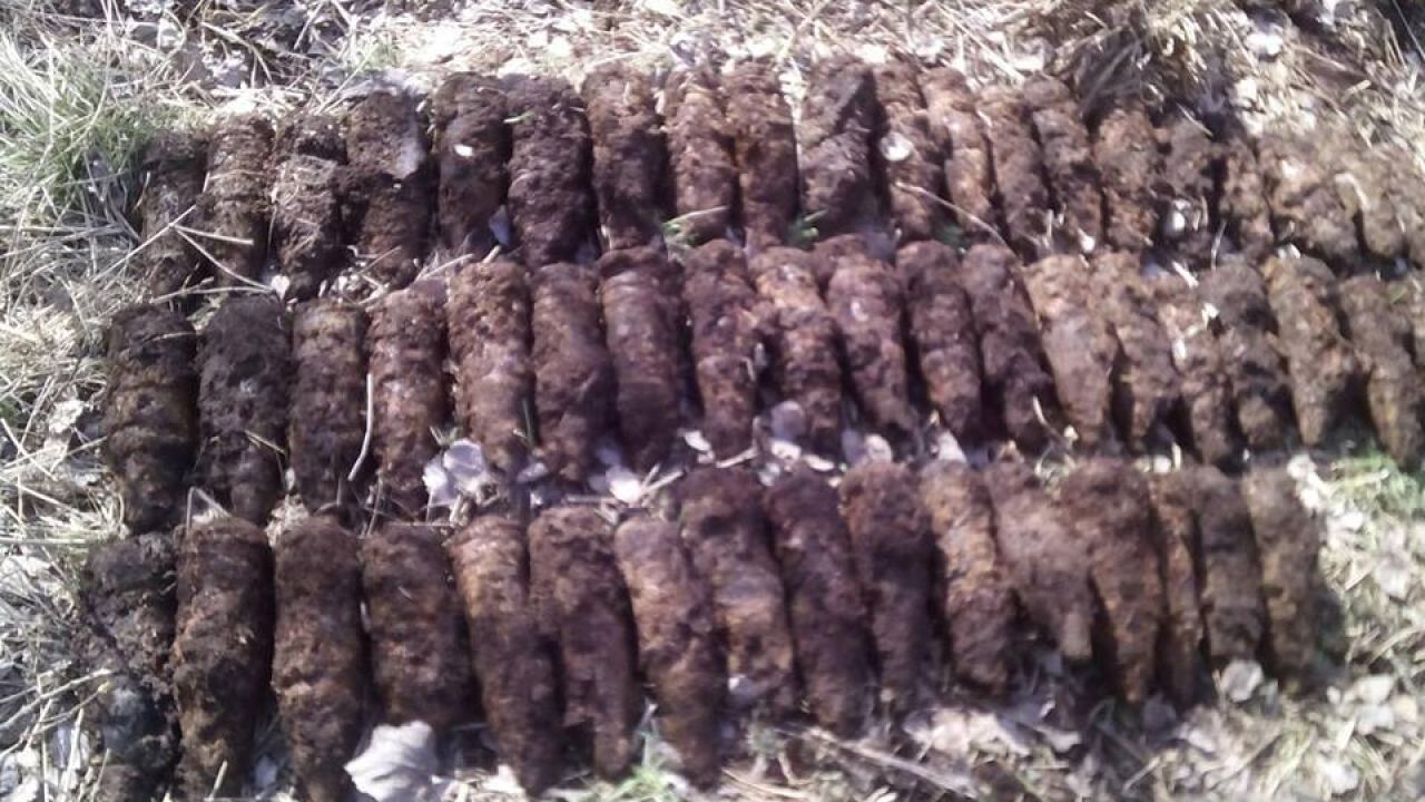 Фото до новини