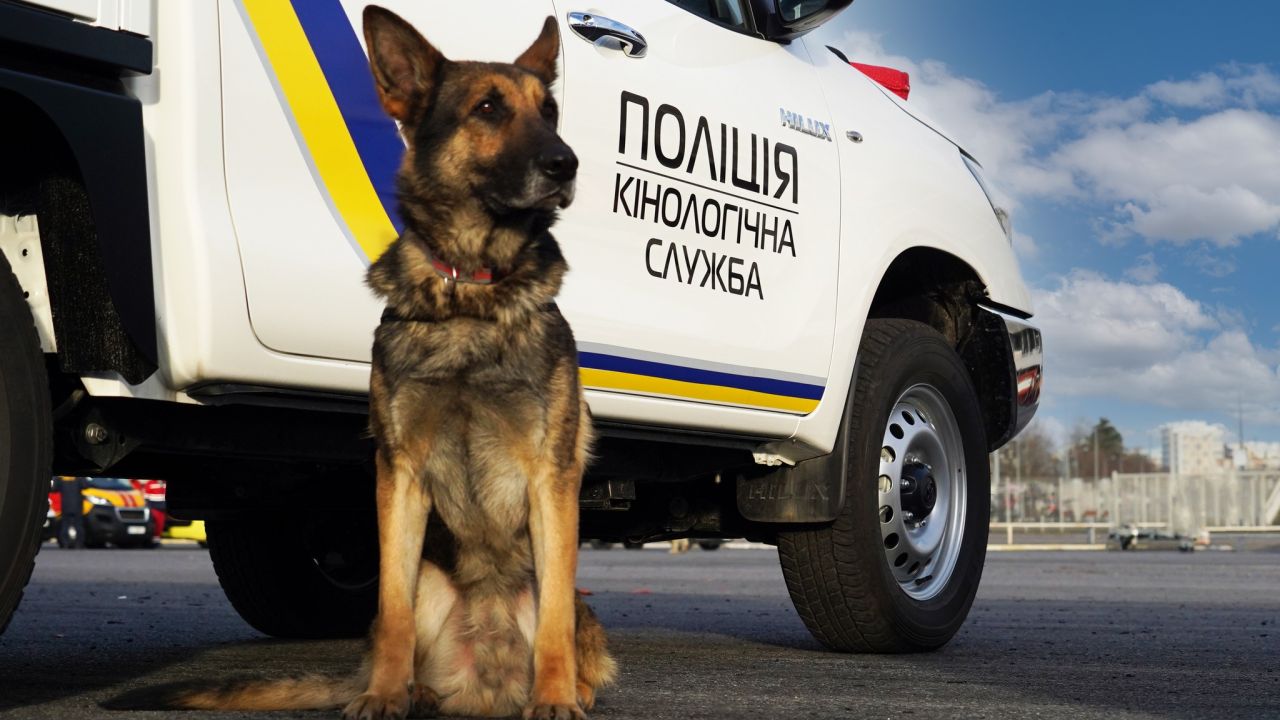 Фото до новини