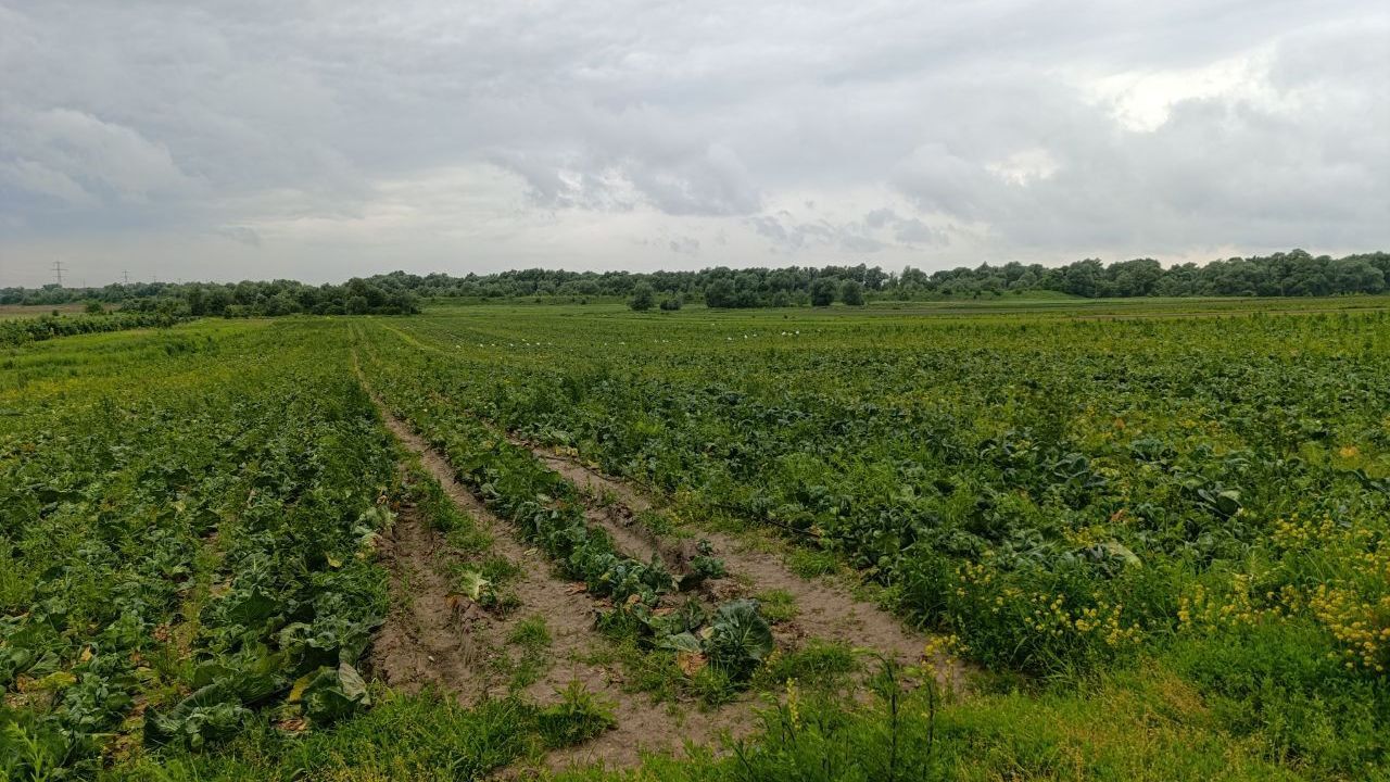 Фото до новини