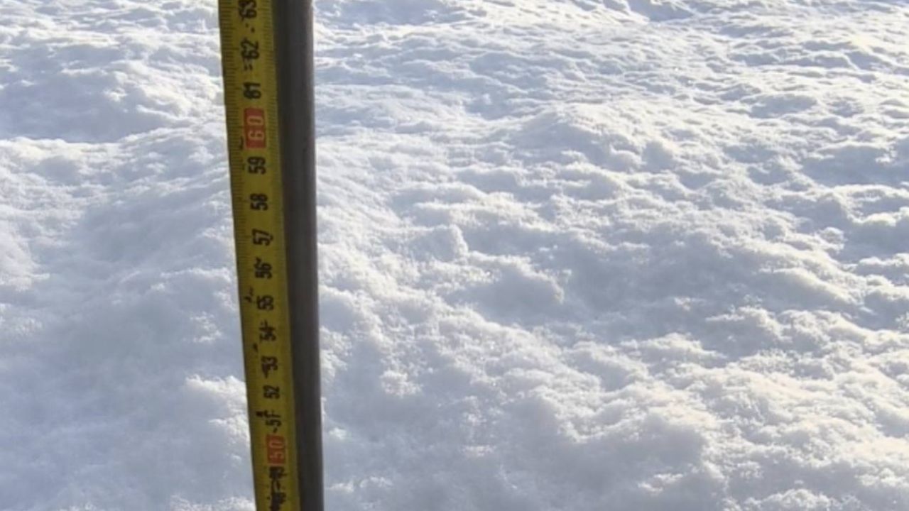 Фото до новини