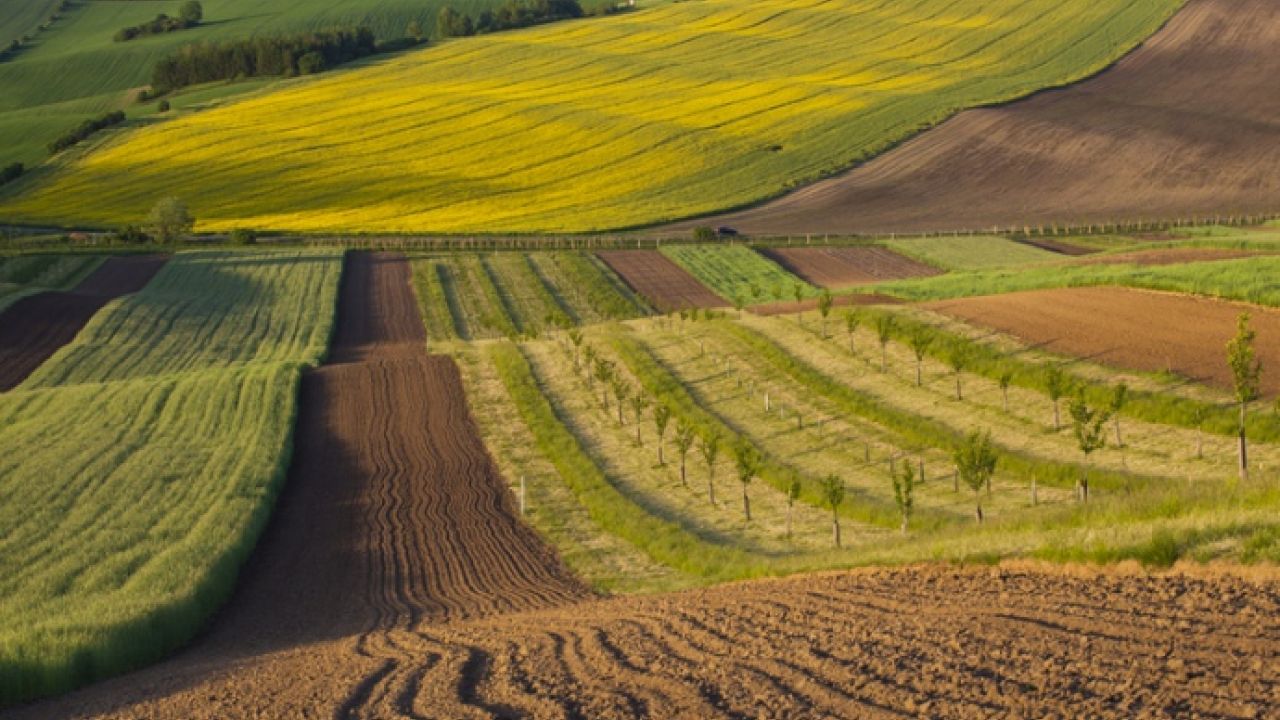 Фото до новини