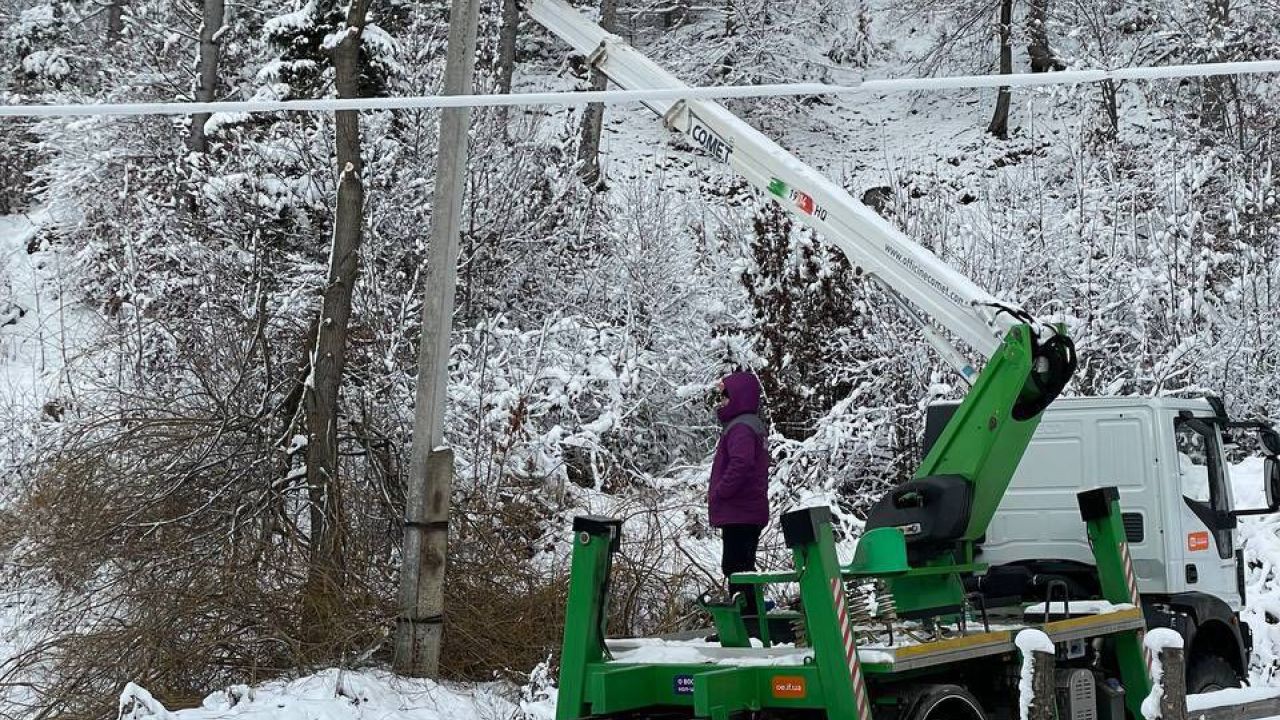 Фото до новини