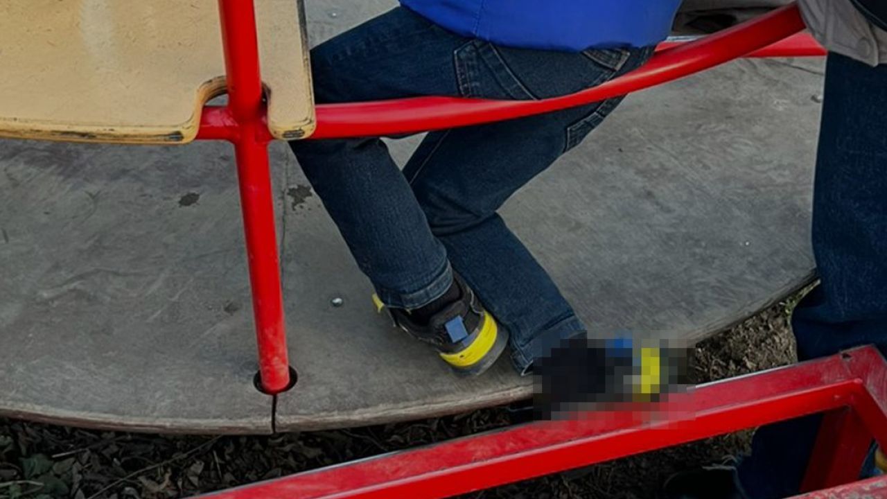 Фото до новини