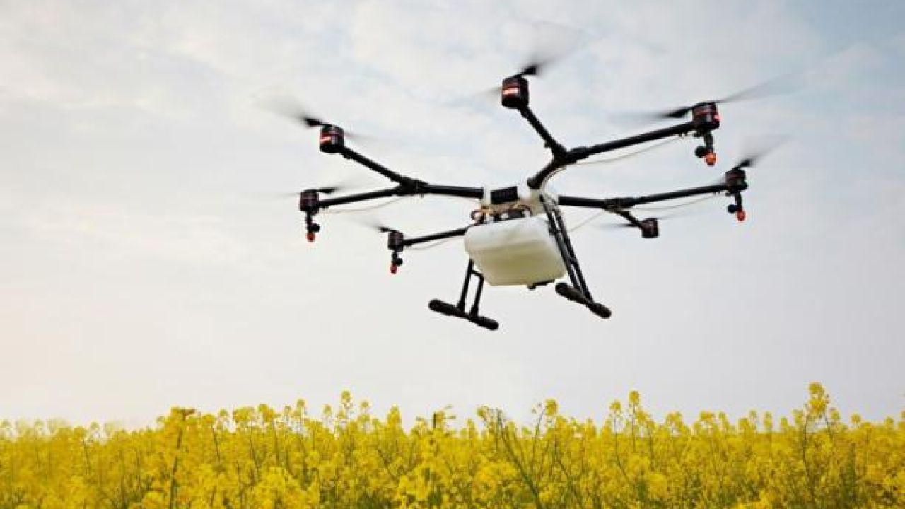 Фото до новини