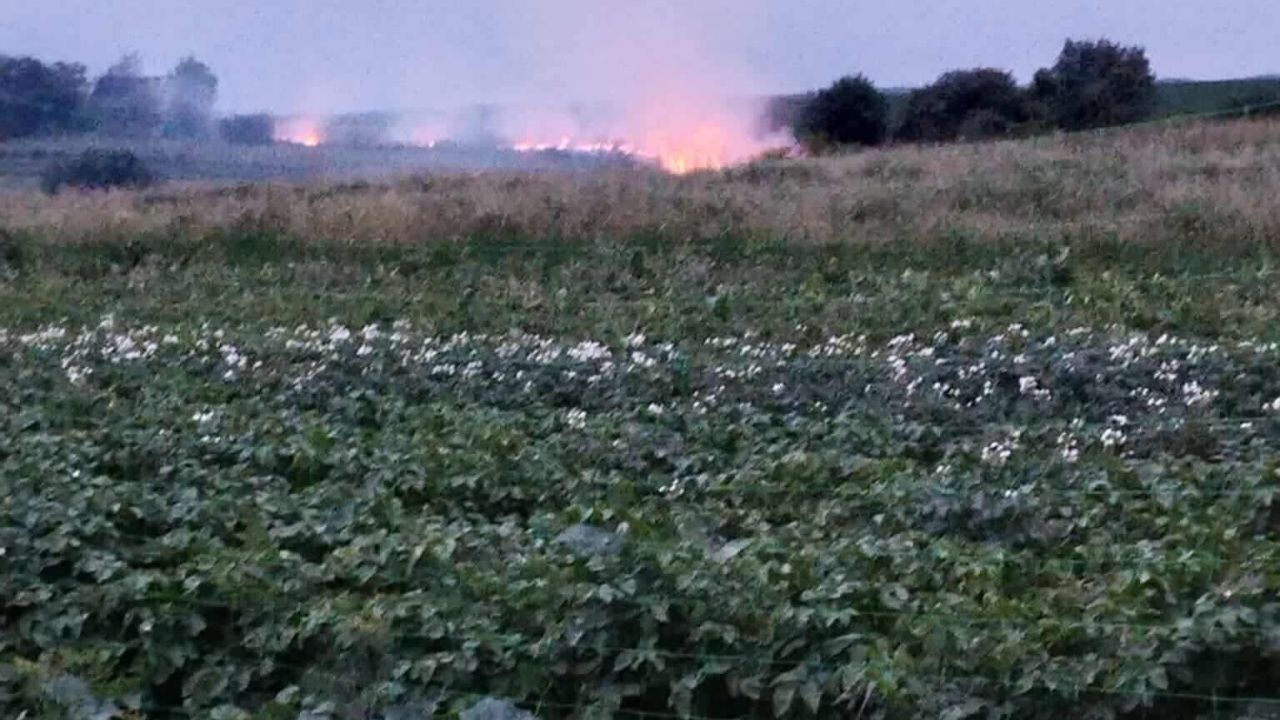 Фото до новини