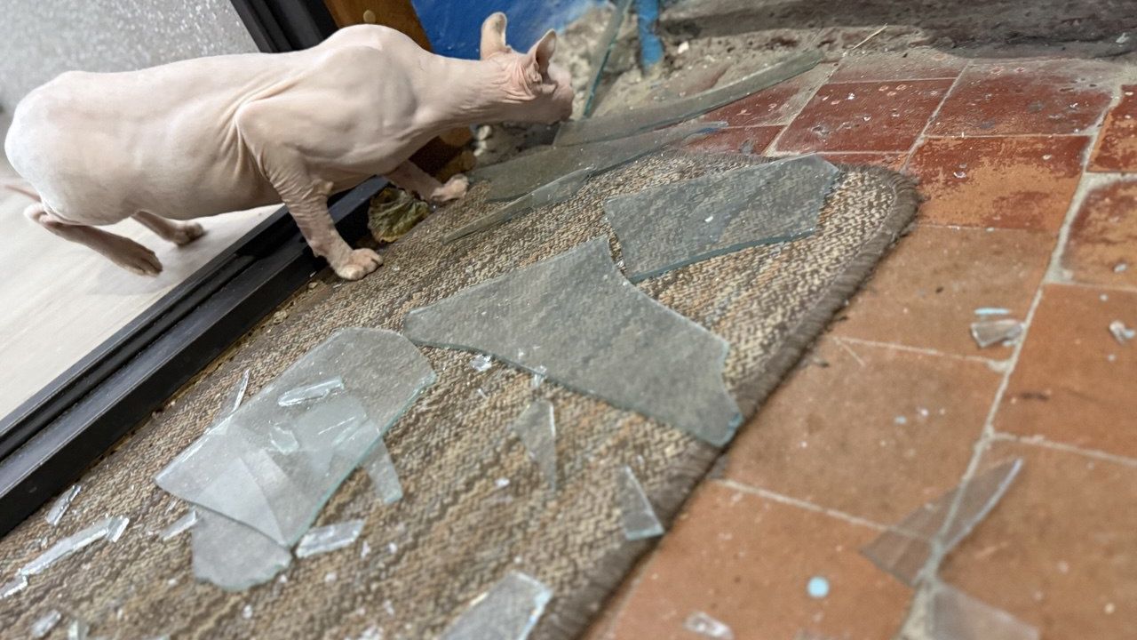 Фото до новини