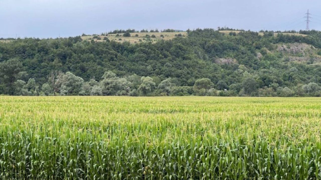 Фото до новини