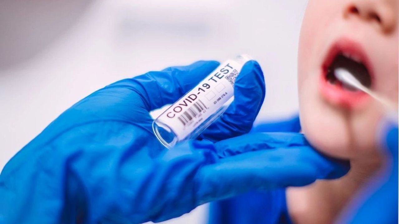 Фото до новини