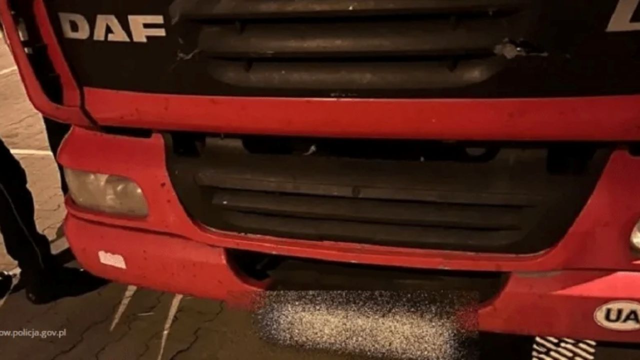 Фото до новини