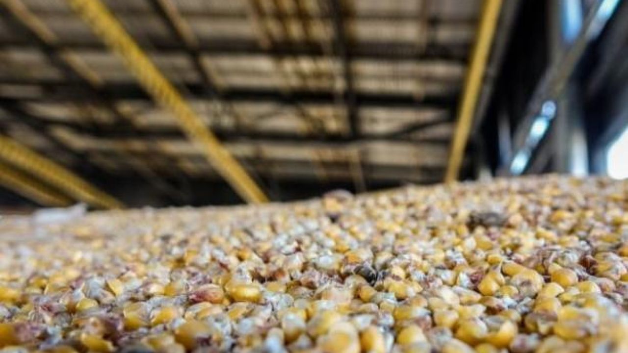 Фото до новини