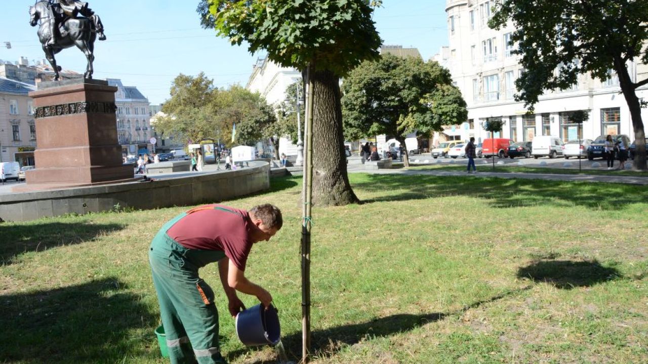 ілюстративне фото з віддаленою аналогією