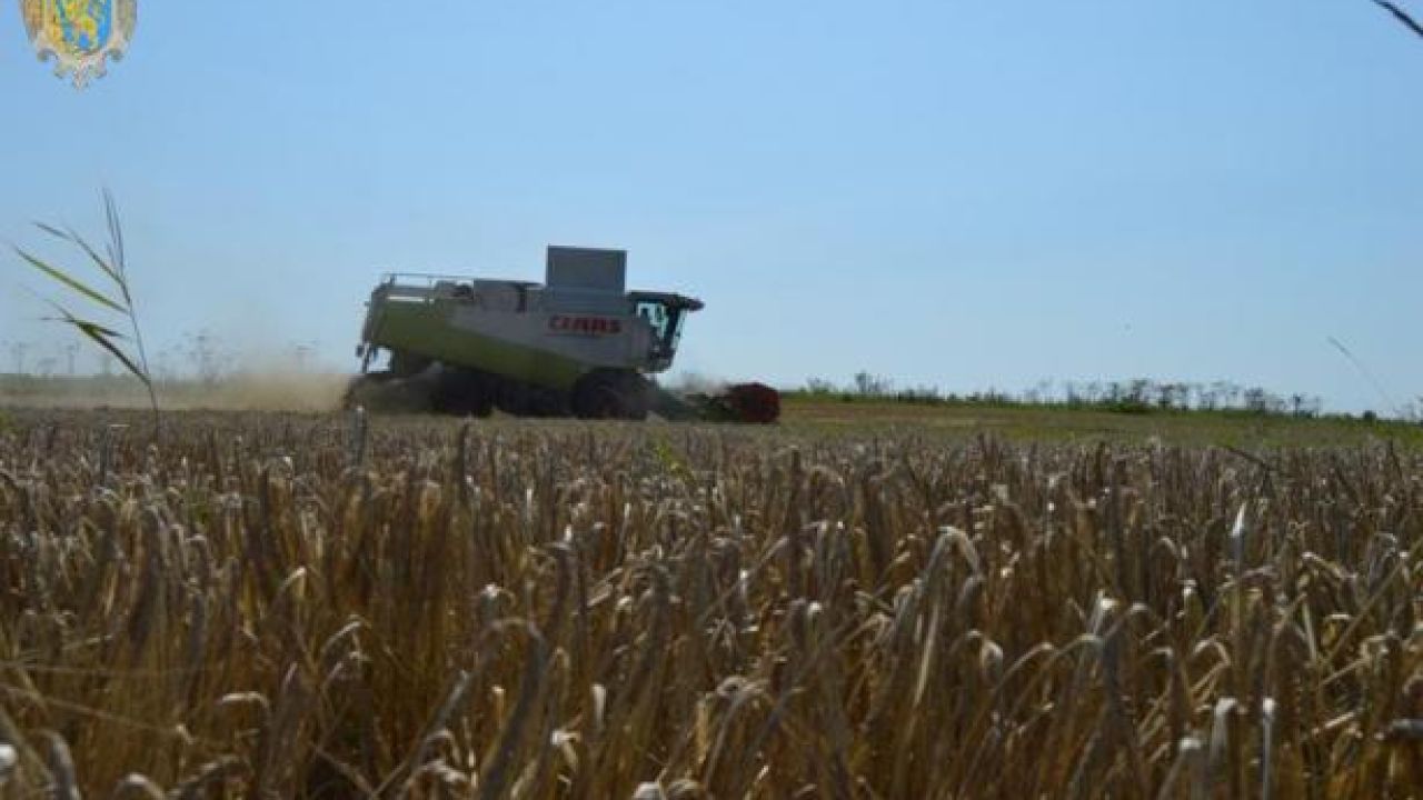 Фото до новини