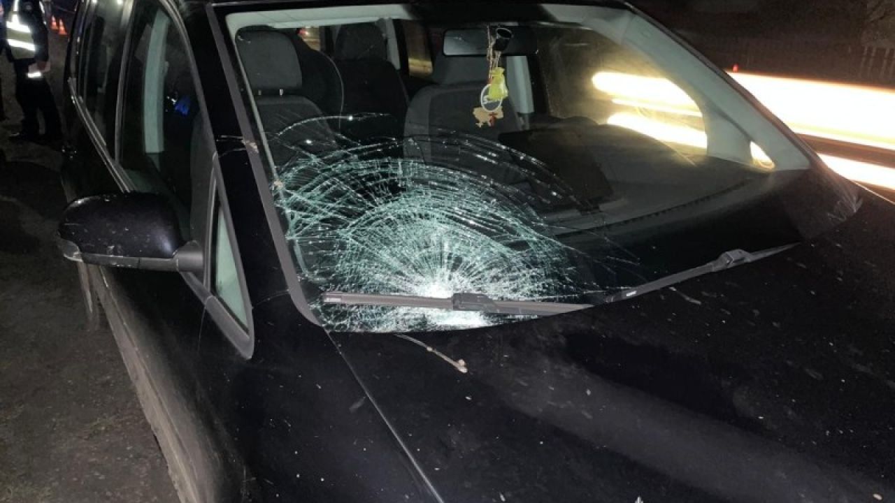 Фото до новини