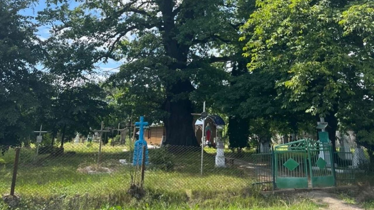 Фото до новини