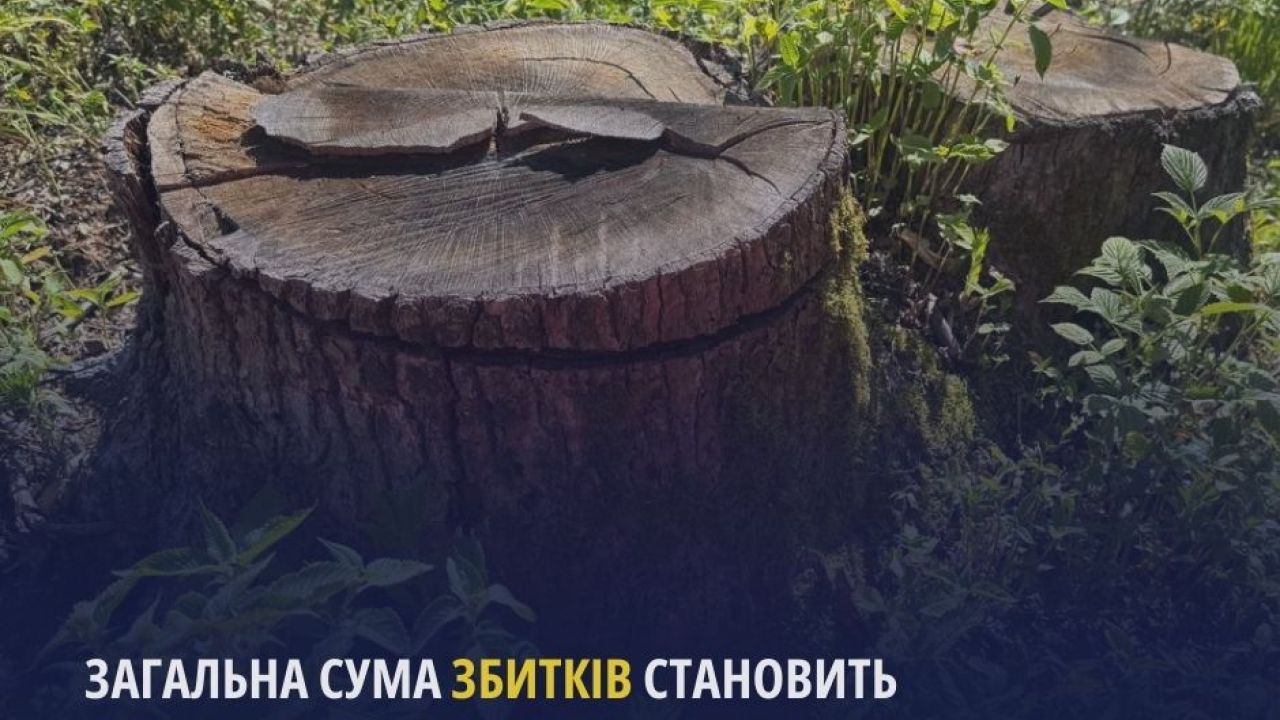 Фото до новини