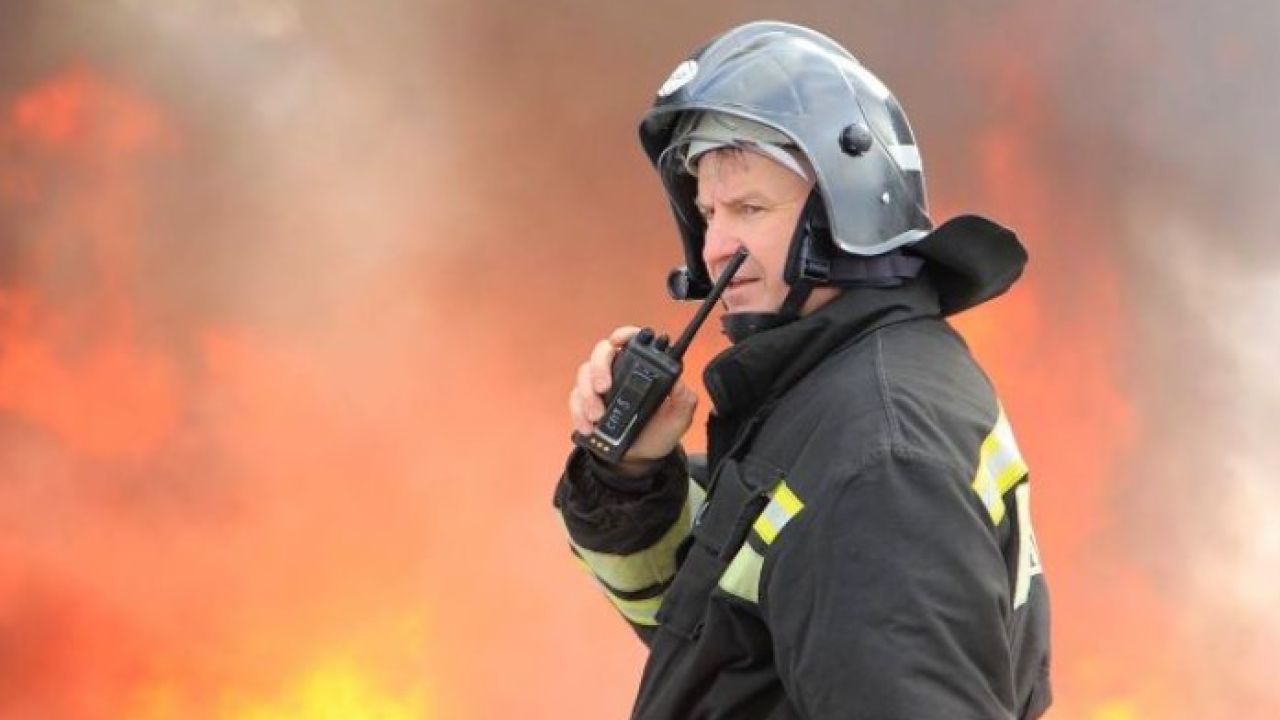 Фото до новини