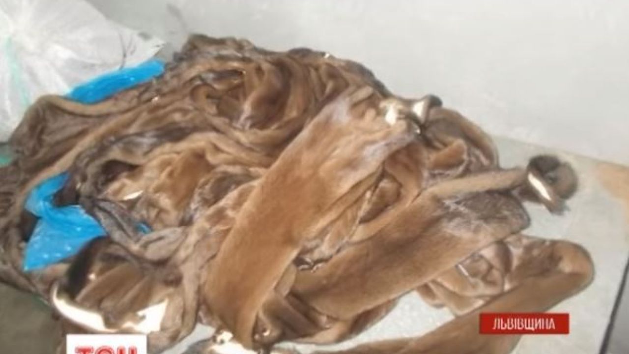 Фото до новини