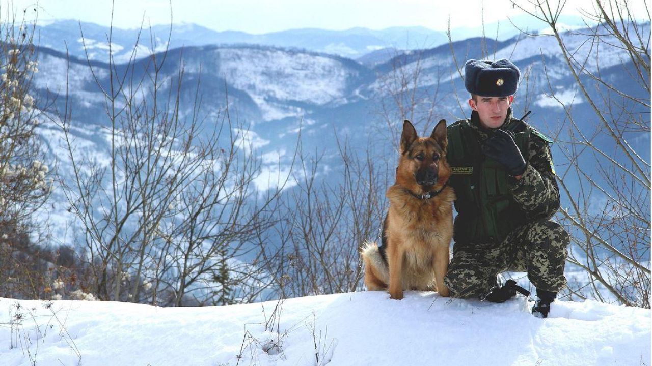 Фото до новини