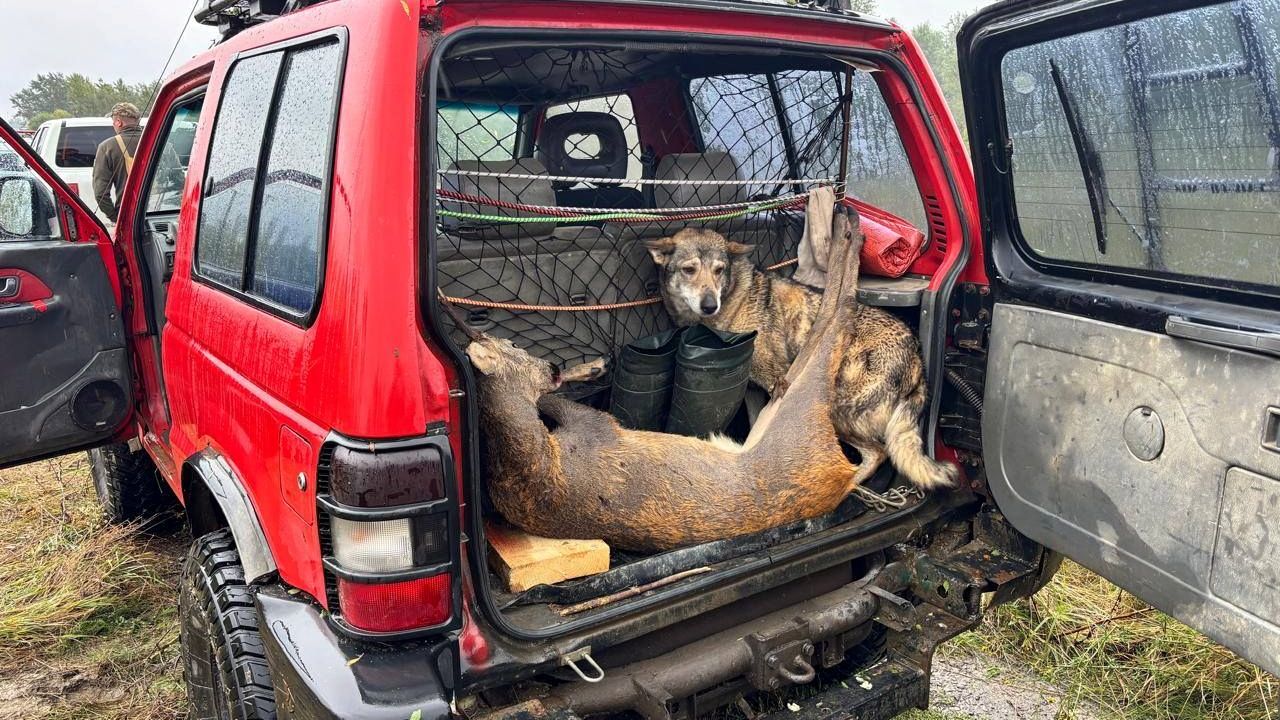 Фото до новини