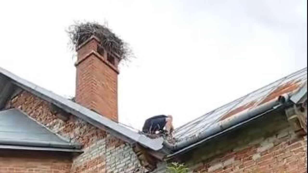 Фото до новини