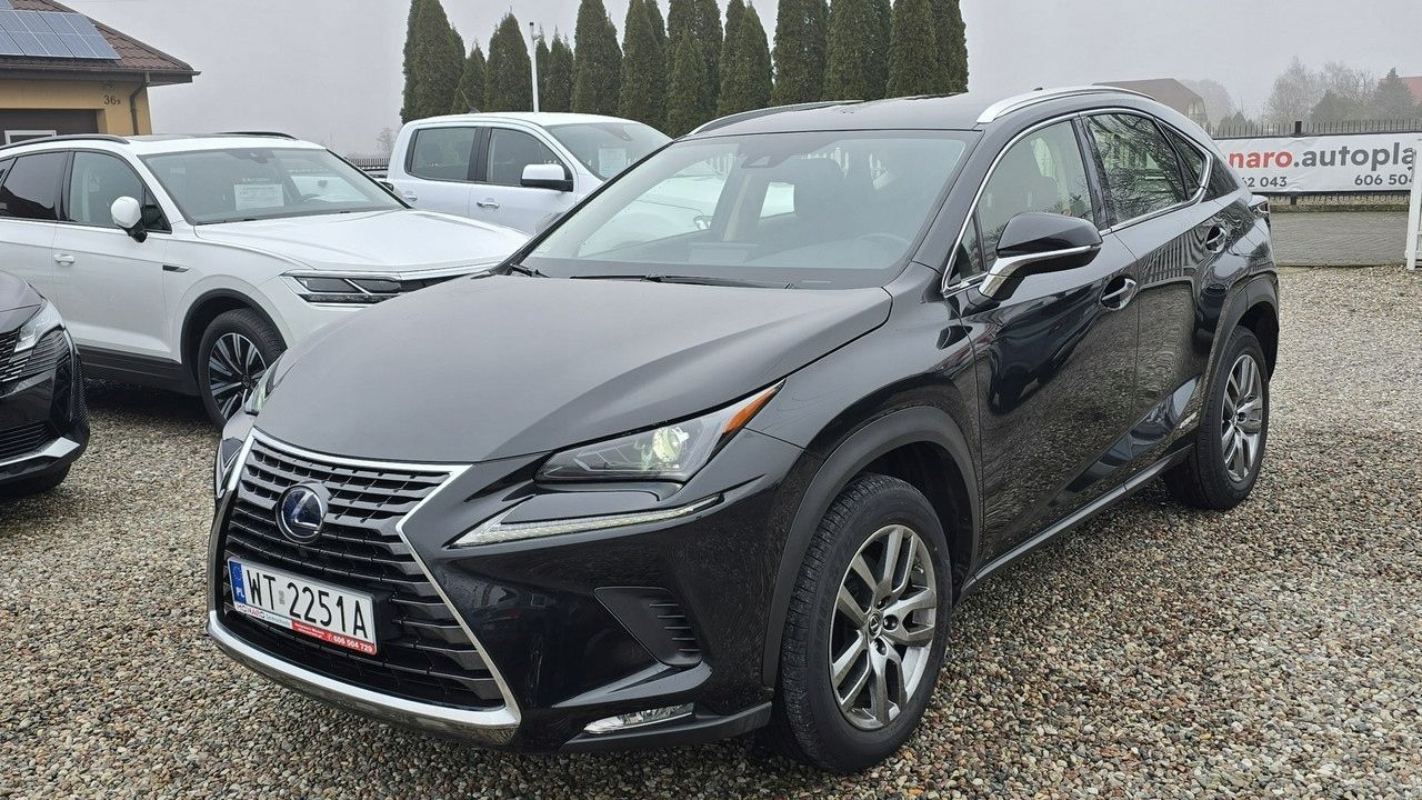 Фото ілюстритивне