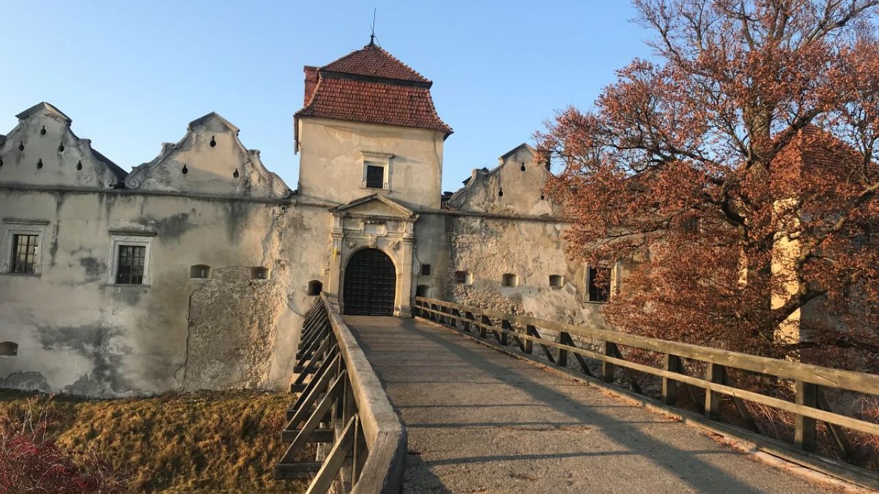 Фото до новини